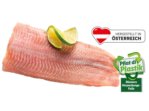 Frisches Welsfilet