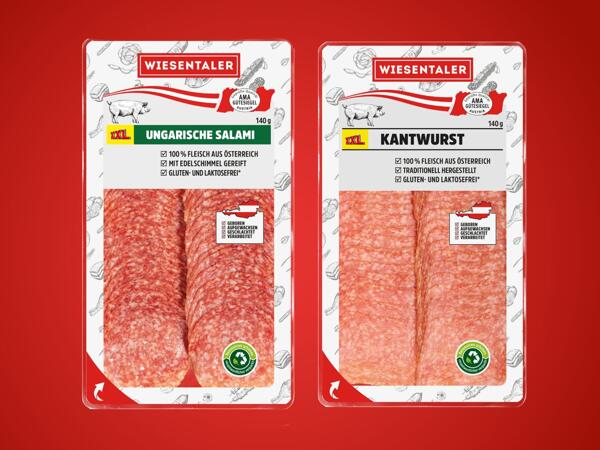 Ungarische Salami oder Kantwurst