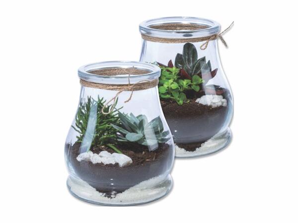 Mini Garden