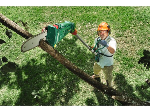20V Cordless Pruner