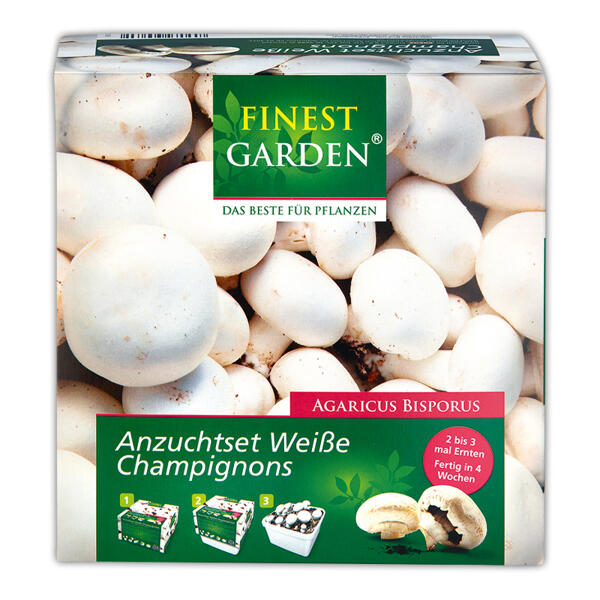Champignon-Anzuchtset