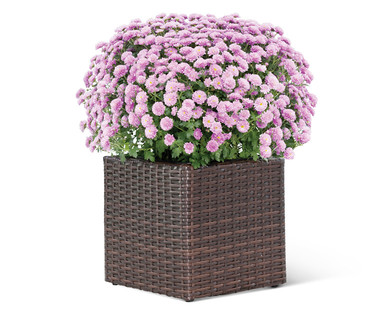 Gardenline Rattan-Style Square Woven Planter