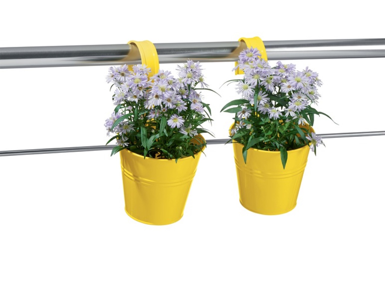 Blomkruka, 2-pack1
