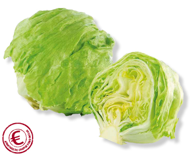 Laitue iceberg