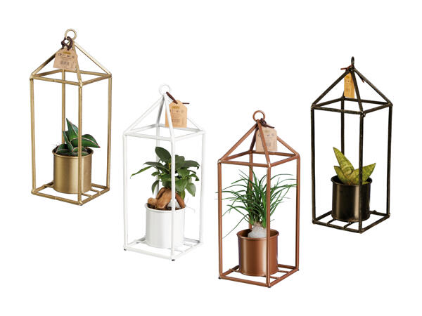 Greenhouse Easy Care