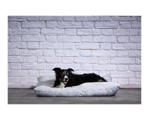 Heart to Tail 
 XL Pillow Pet Bed