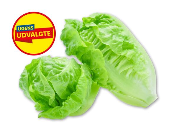 Nouvellesalat