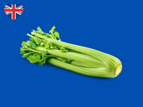 Celery