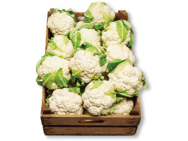 Blomkål