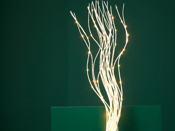 LED Twig Lights