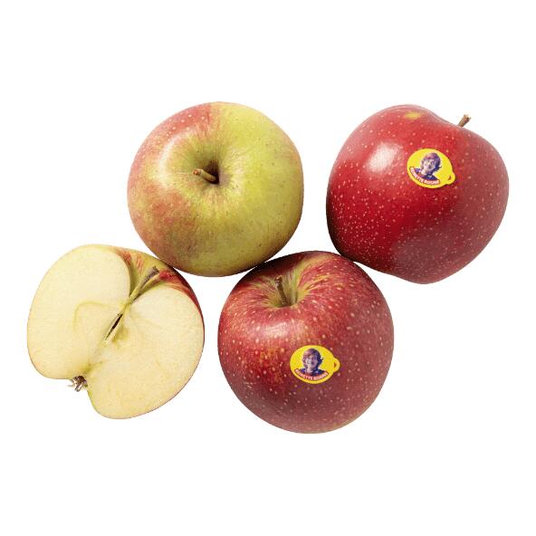 Äpfel Reinette Rosine