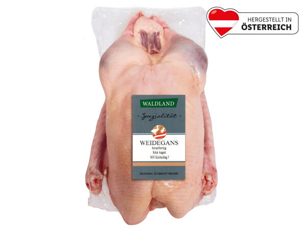 Waldland Frische Weidegans