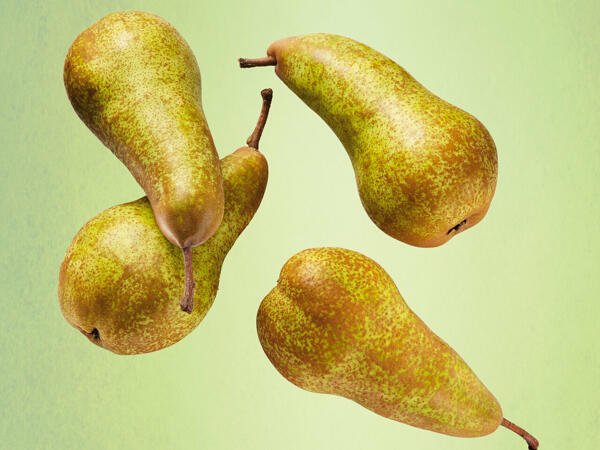 Birnen Xenia(R)