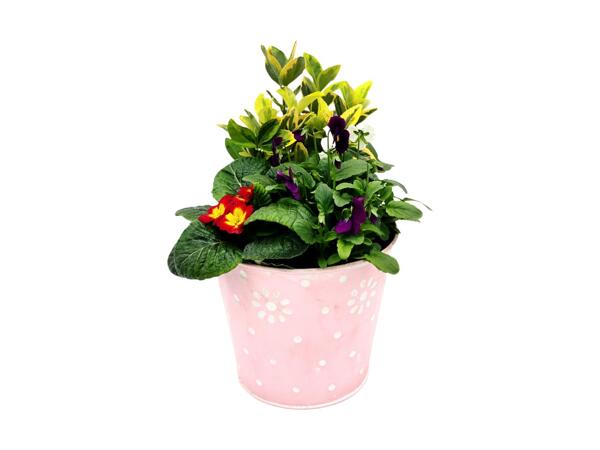 Mother's Day Pink Planter