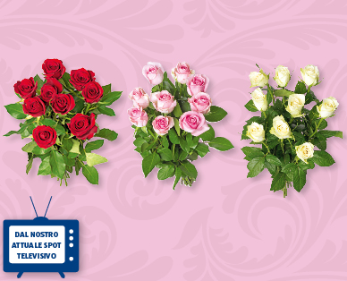Rose a gambo lungo FAIRTRADE Max Havelaar