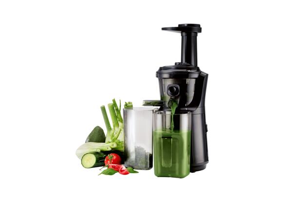 300W Slow Juicer