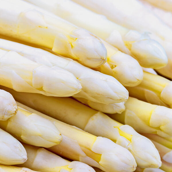 Spargel