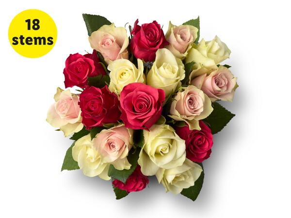 Special Someone