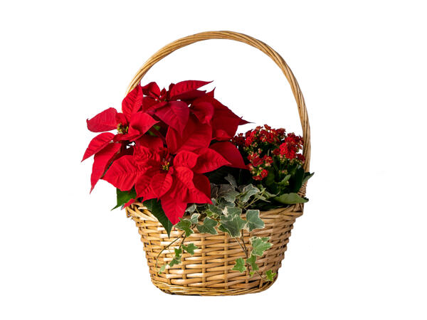 Christmas Basket