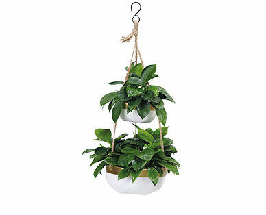 Gardenline Double Hanging Planter