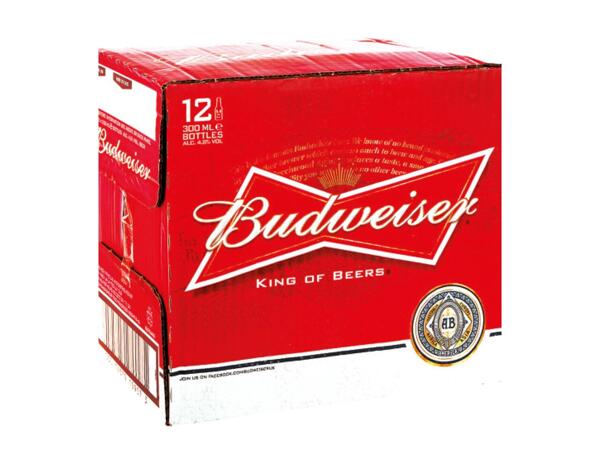 Budweiser 12 x 300ml