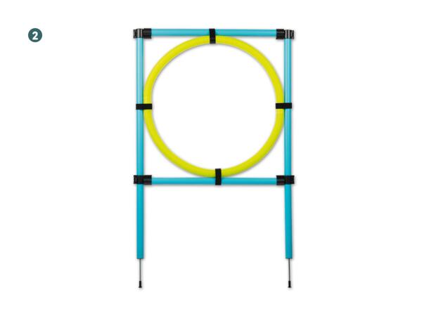 Hunde Agility-Sortiment