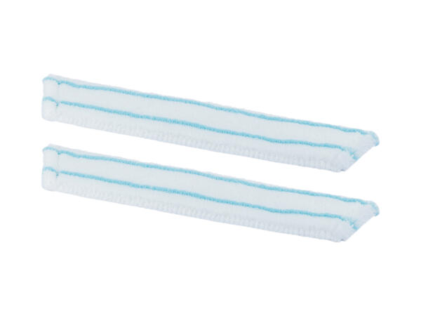 Window Cleaner with Squeegee