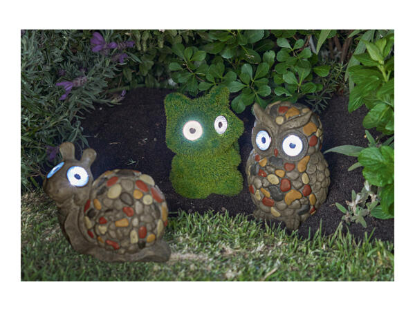 Livarno Home Decorative LED Solar Light