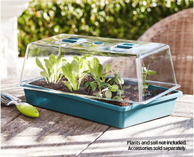 Seed and Cutting Greenhouse