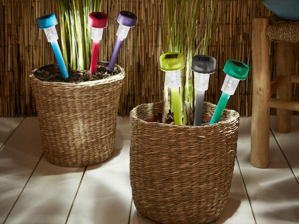 LED Solar Lights