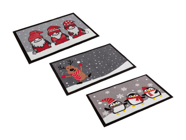 Tapis antipoussière