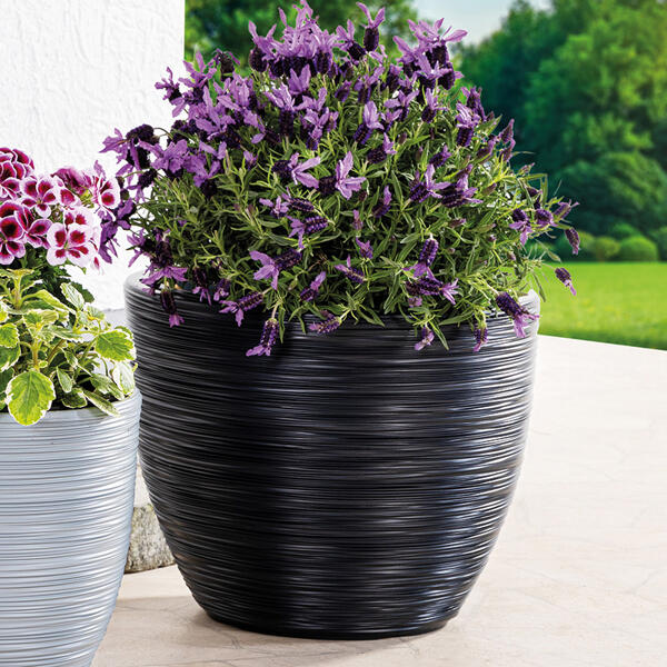 Blumentopf "Florenz"