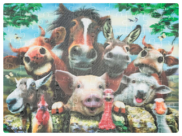 3D Puzzles Assortment