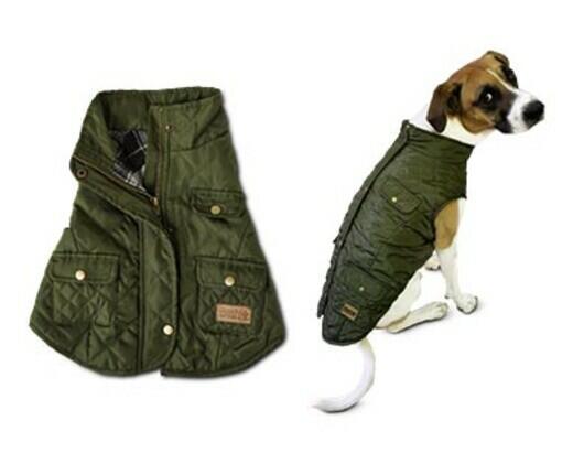 Heart to Tail 
 Pet Barn Coat