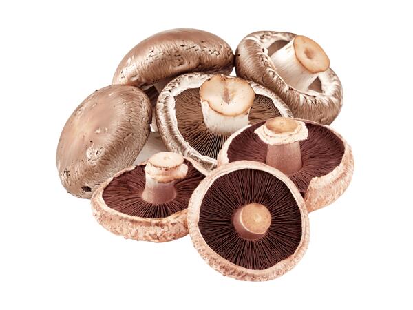Portobello Pilze