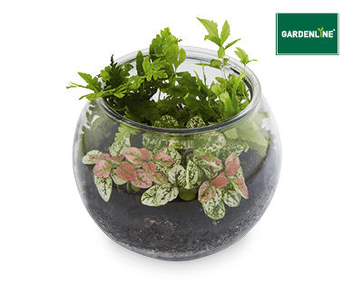 Glass Terrarium 15cm