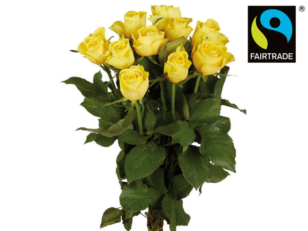 Fairtrade Rosen
