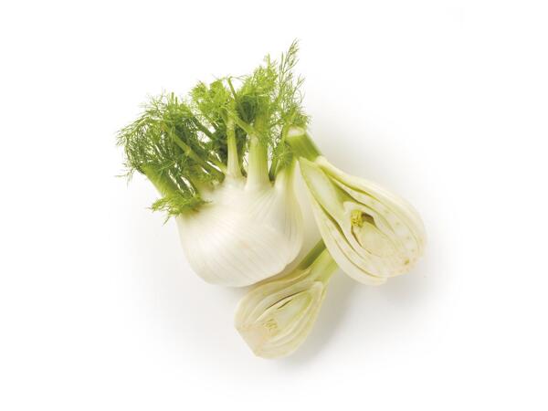 Fennel