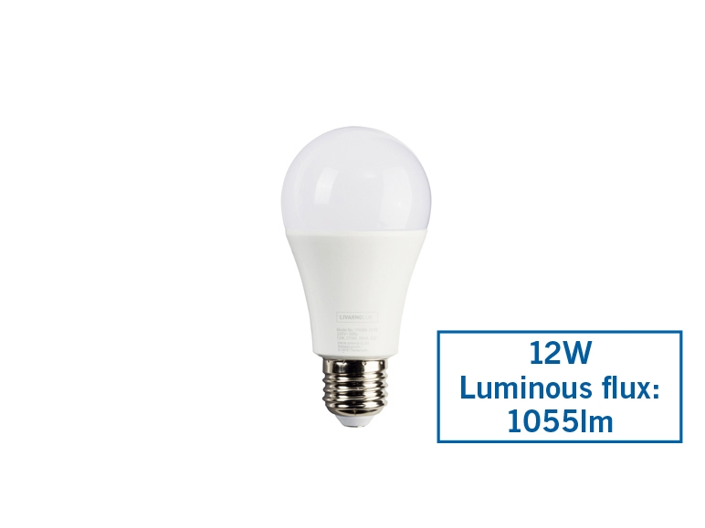 Dimmable LED Light Bulb