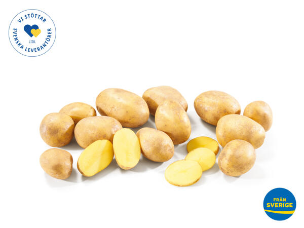 Potatis
