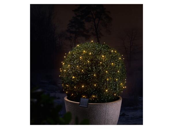 LED solar fairy lights