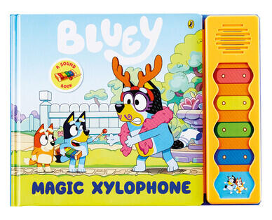 Bluey Novelty Books