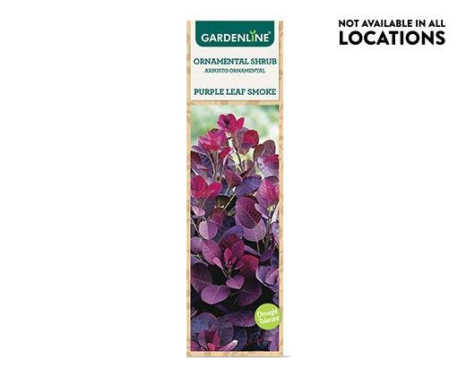 Gardenline Ornamental Shrub Assorted Varieties