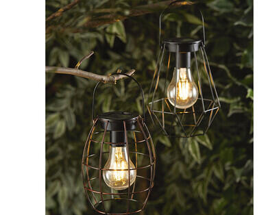 Hanging Feature Light or Solar String Light