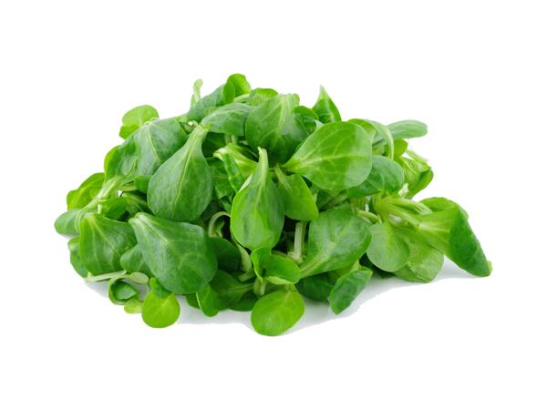 Machésallad