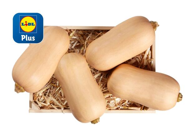 Kürbis Butternuss