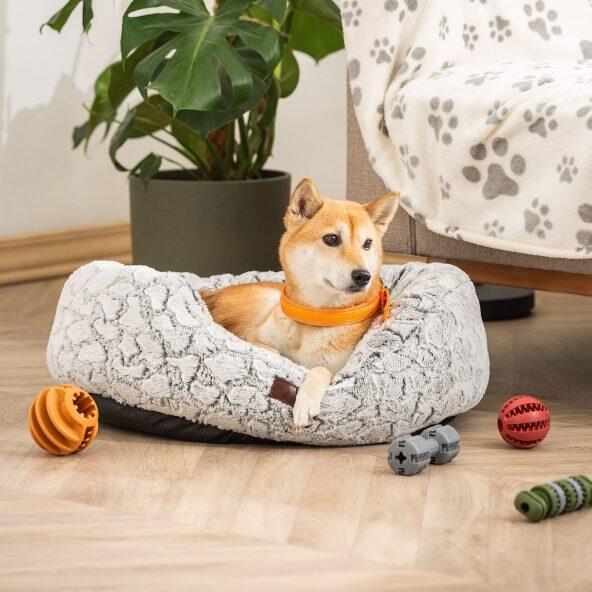 ROMEO(R) 				Jouet d'hygiène dentaire pour chiens
