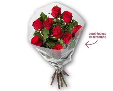 Fairtrade Max Havelaar Langstielrosen