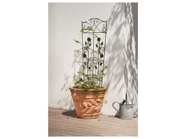 Metal Plant Trellis