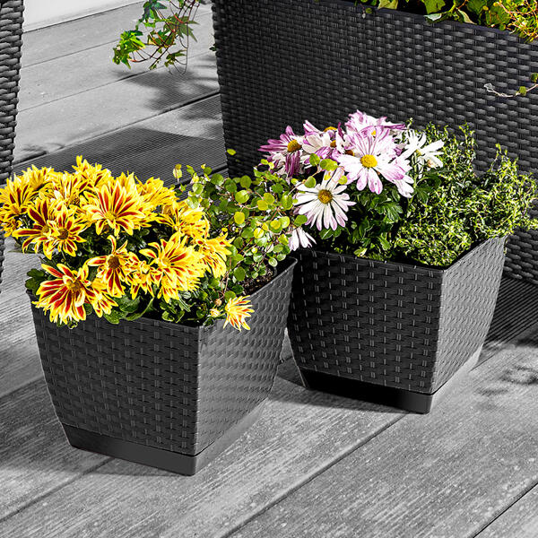 Blumentopf 2er-Set